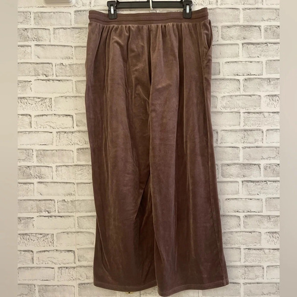 SOLD! Women’s Jane & Delancey brown velour super soft drawstring sweatpants XL - Picture 2 of 5
